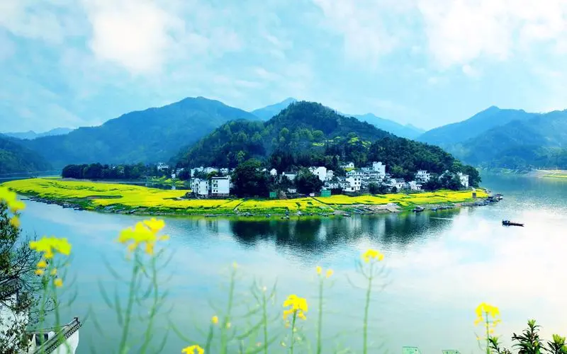 节能可靠性全自动